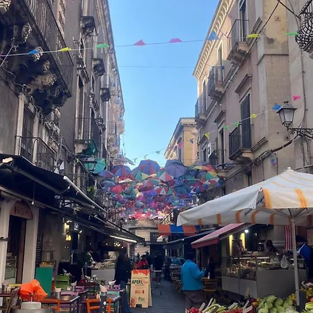 Il Riccio - Intero - Whole House דירה קטאניה