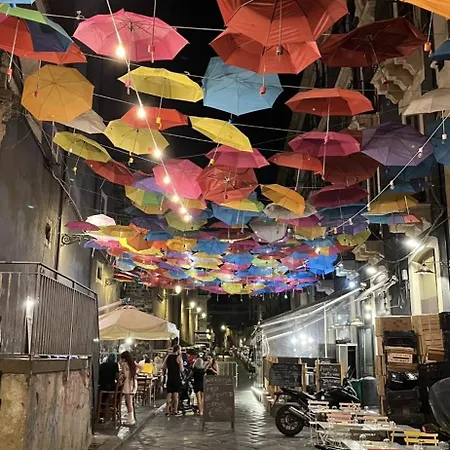 Il Riccio - Intero - Whole House דירה קטאניה